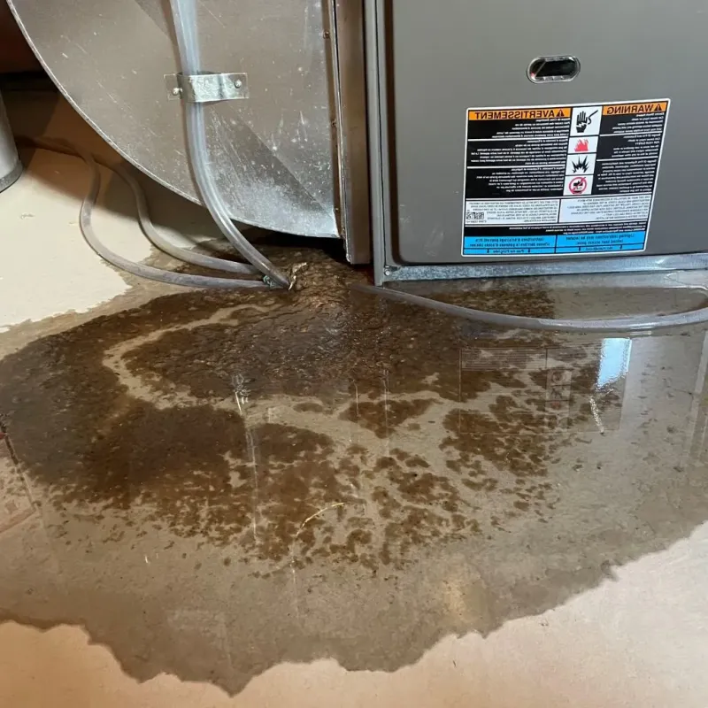 Pipe Burst and Leak Restoration in East San Gabriel, CA
